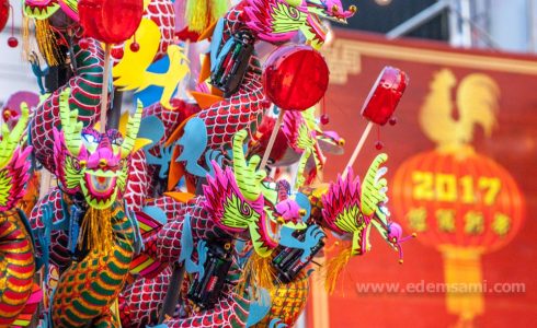 Китайский новый год