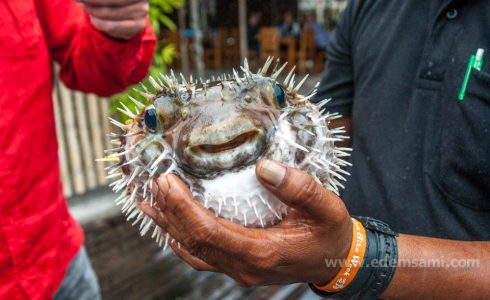 Ко Кланг Краби