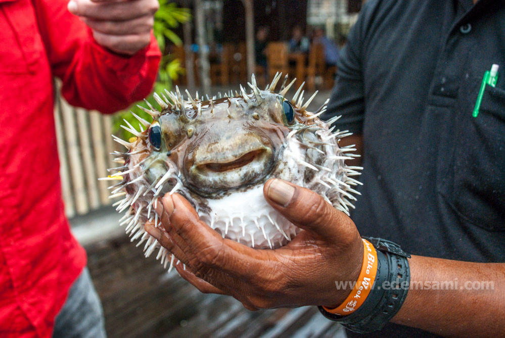 Ко Кланг Краби