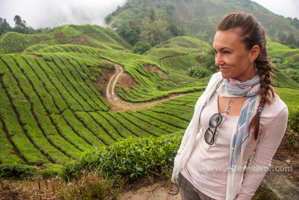 Чайные плантации в Малайзии