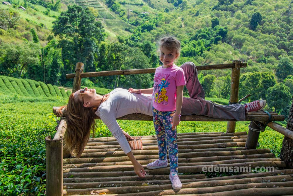 Мэсалонг чай