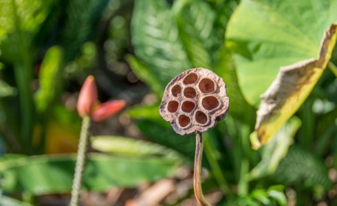 Ранонг Casa Teresa
