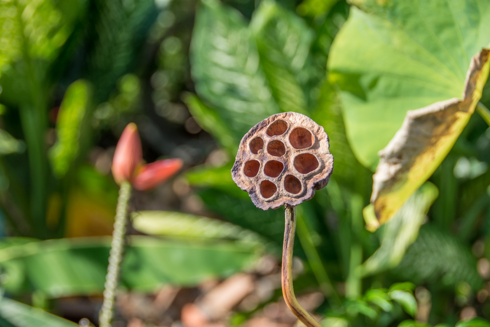 Ранонг Casa Teresa