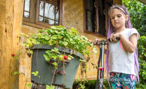Чиангдао Чиангмай ТаиландЧиангдао Чиангмай Таиланд