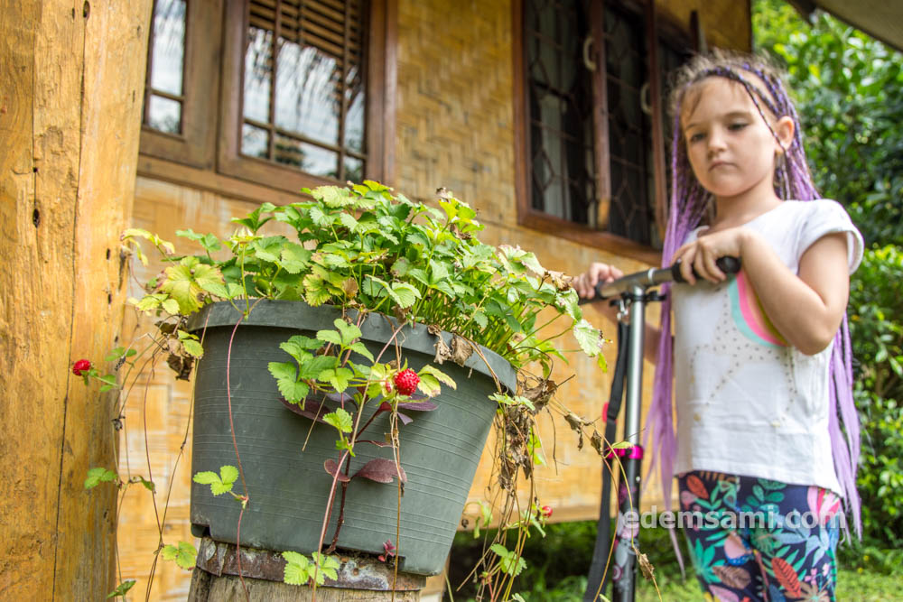 Чиангдао Чиангмай ТаиландЧиангдао Чиангмай Таиланд