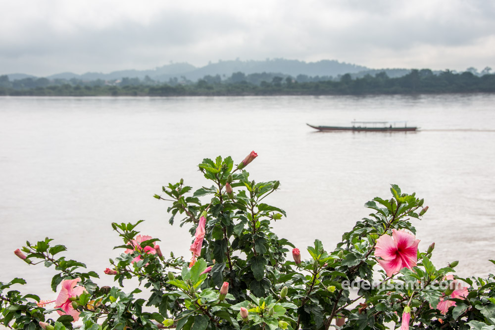 Чиангсэн Чианграй Таиланд