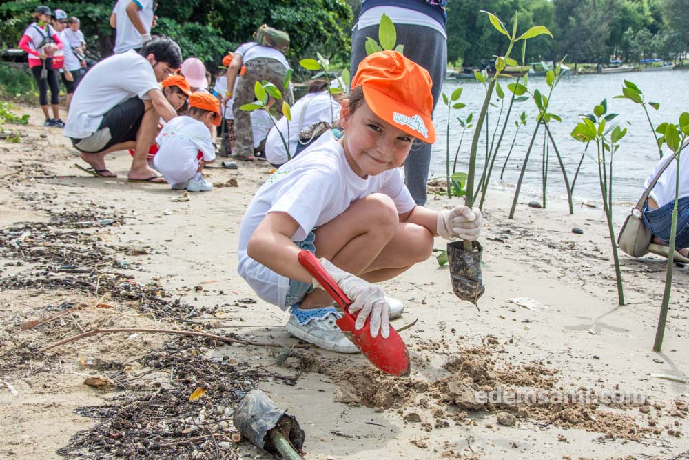 Хастин мангры