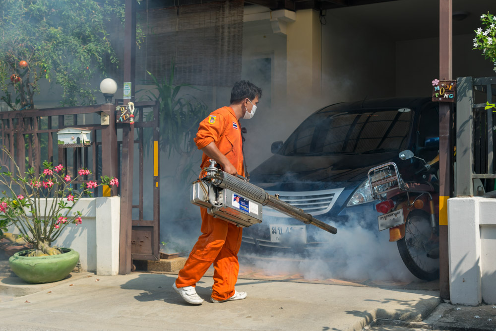 Эпидемия денге обработка против комаров