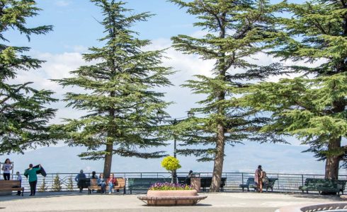 Парк Мтацминда в Тбилиси