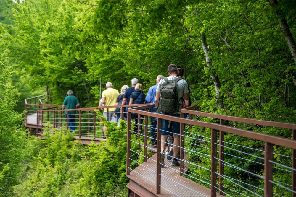 Каньон Окаце Грузия