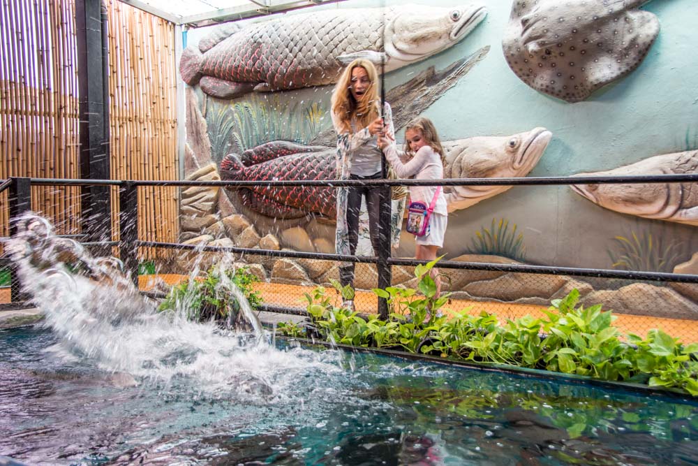 Pattaya Monsters Aquarium
