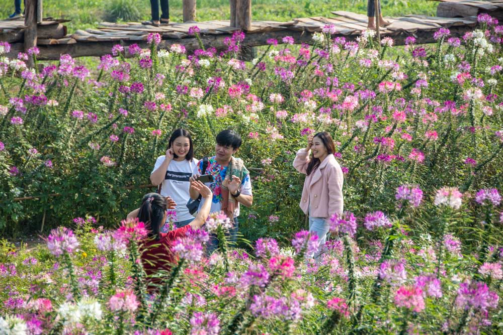 Чем заняться в провинции Нан